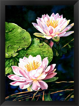 Framed Waterlily Reflections Print