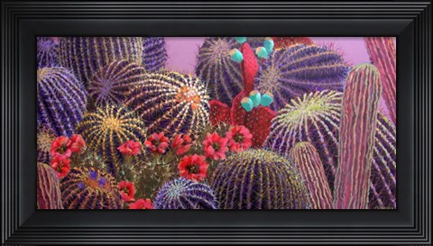 Framed Barrel Cactus 1 Print