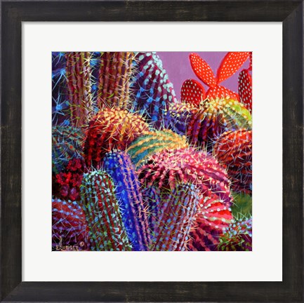 Framed Barrel Cactus 4 Print