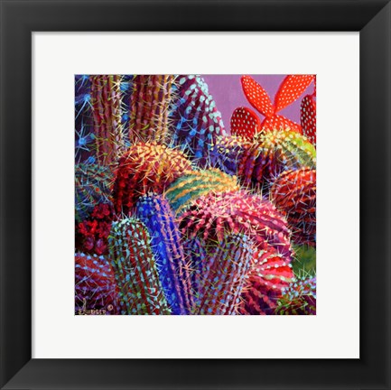 Framed Barrel Cactus 4 Print