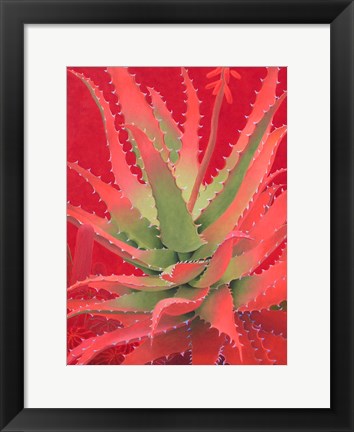 Framed Red Agave Print