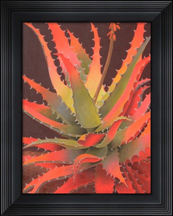 Framed Sunset Agave Print