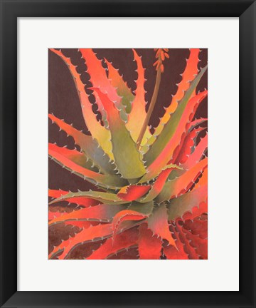 Framed Sunset Agave Print