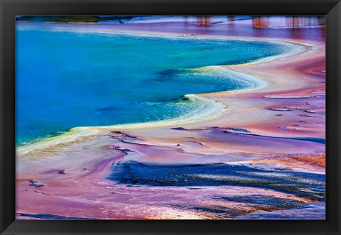 Framed Pattern in Bacterial Mat, Midway Geyser Basin, Yellowstone National Park, Wyoming Print