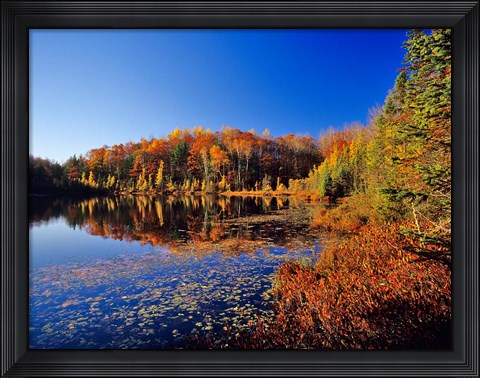 Framed Pond in the Chaquamegon National Forest, Cable, Wisconsin Print