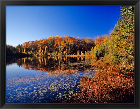 Framed Pond in the Chaquamegon National Forest, Cable, Wisconsin Print