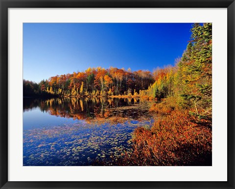 Framed Pond in the Chaquamegon National Forest, Cable, Wisconsin Print