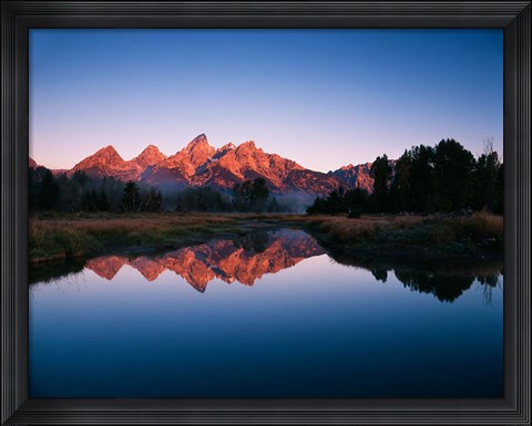 Framed Teton Range reflecting in Beaver Pond, Grand Teton National Park, Wyoming Print