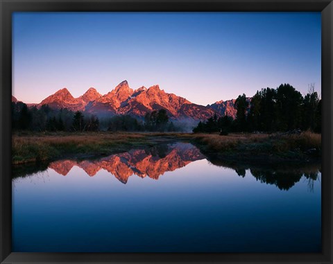 Framed Teton Range reflecting in Beaver Pond, Grand Teton National Park, Wyoming Print