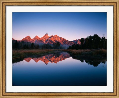 Framed Teton Range reflecting in Beaver Pond, Grand Teton National Park, Wyoming Print