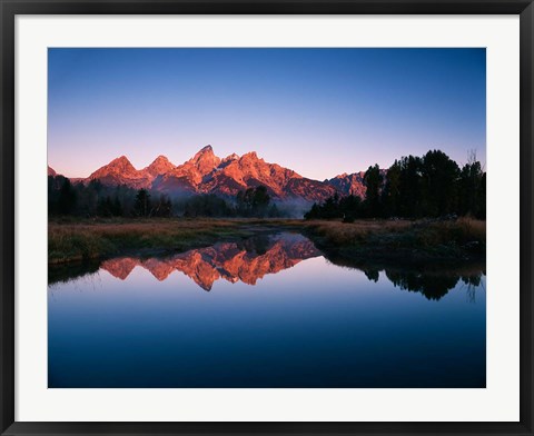 Framed Teton Range reflecting in Beaver Pond, Grand Teton National Park, Wyoming Print