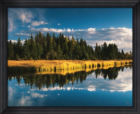 Framed Trees reflecting in Snake River, Grand Teton National Park, Wyoming Print