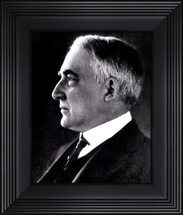 Framed Warren G. Harding, 29th President of the United States Print