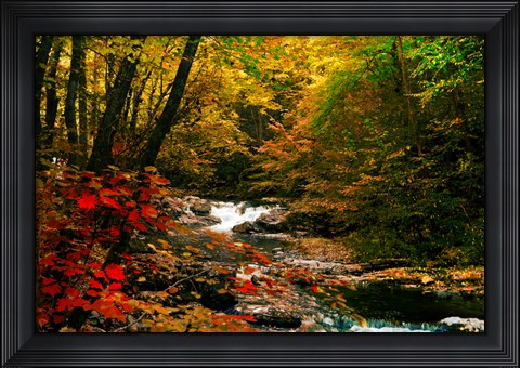 Framed Mountain Stream Print