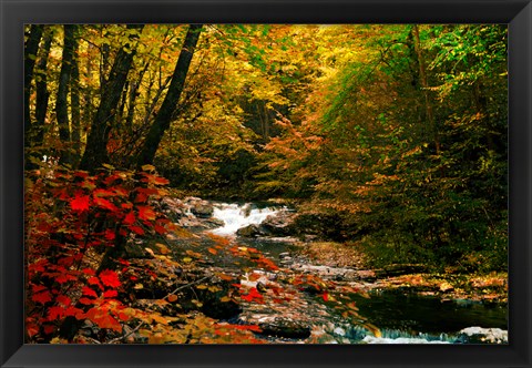 Framed Mountain Stream Print