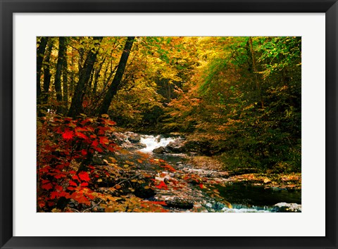 Framed Mountain Stream Print