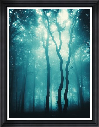 Framed Blue Light Woods Print