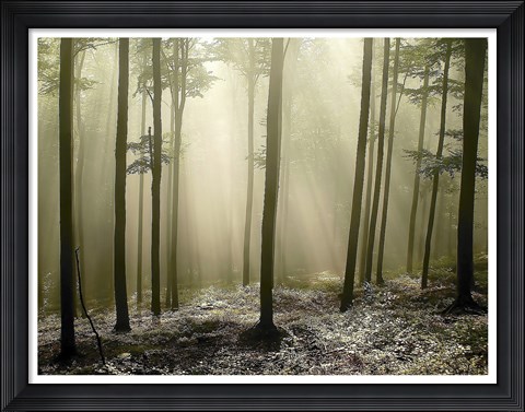 Framed Green Works Print