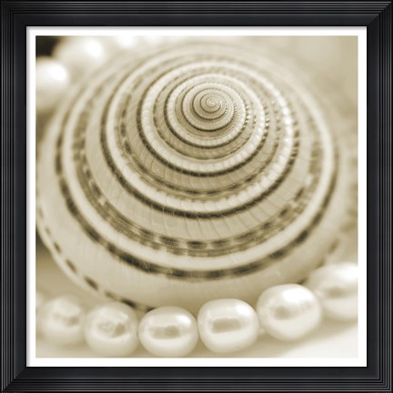 Framed Shells and Pearls 1 Print