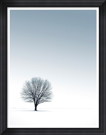 Framed Tree in Winterscape Print