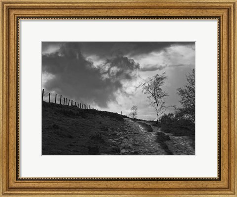 Framed Lonely Path II Print