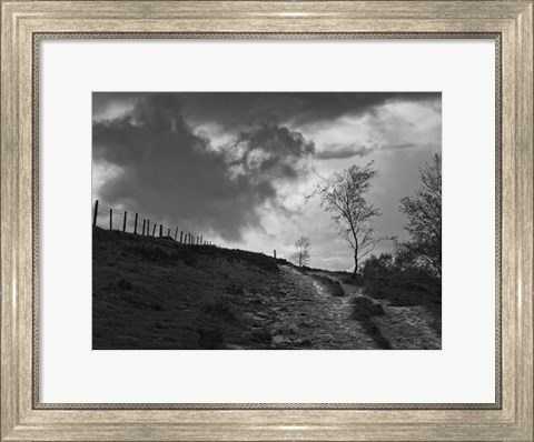 Framed Lonely Path II Print
