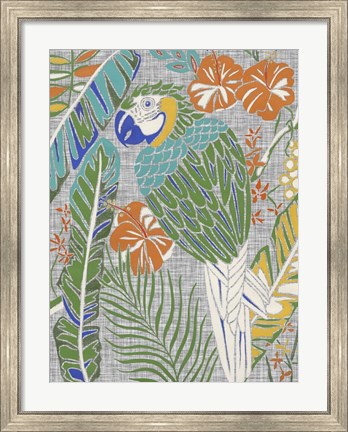 Framed Tropical Macaw Print