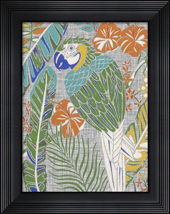 Framed Tropical Macaw Print
