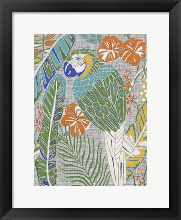 Framed Tropical Macaw Print