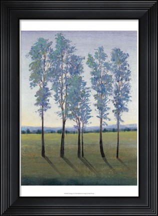 Framed Acreage II Print