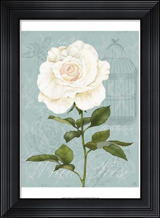 Framed Cream Rose I Print