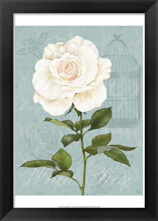 Framed Cream Rose I Print