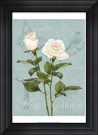 Framed Cream Rose II Print