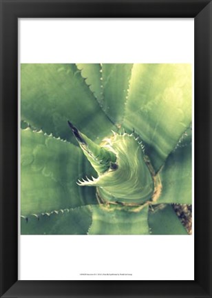 Framed Succulent II Print