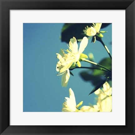 Framed Summer Blossom I Print