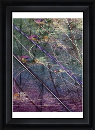 Framed Wetlands Vector I Print