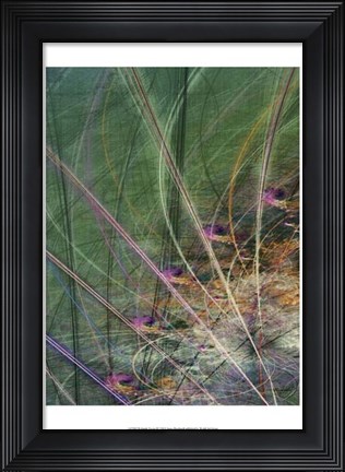 Framed Wetland Vector II Print