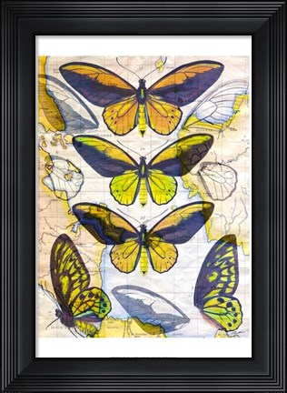 Framed Butterfly Map I Print