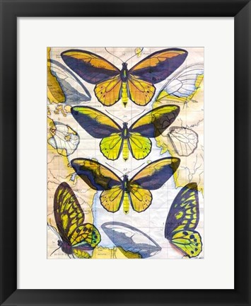 Framed Butterfly Map I Print