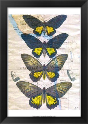 Framed Butterfly Map II Print