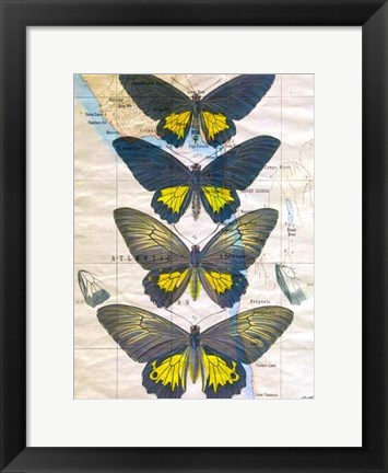 Framed Butterfly Map II Print