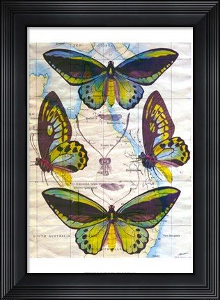 Framed Butterfly Map III Print