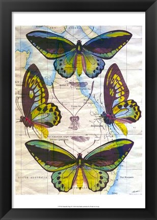 Framed Butterfly Map III Print