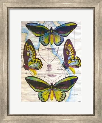 Framed Butterfly Map III Print