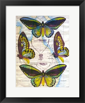 Framed Butterfly Map III Print