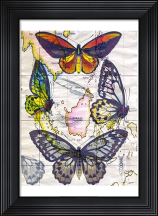 Framed Butterfly Map IV Print