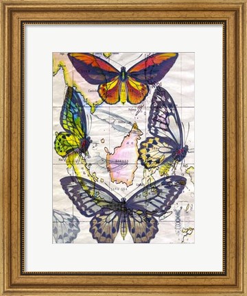 Framed Butterfly Map IV Print