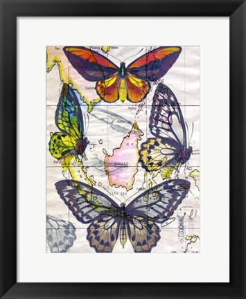 Framed Butterfly Map IV Print