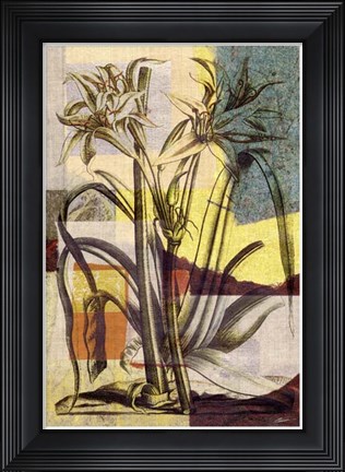 Framed Lily Mix I Print