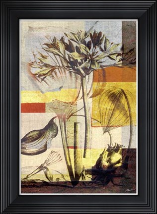 Framed Lily Mix II Print